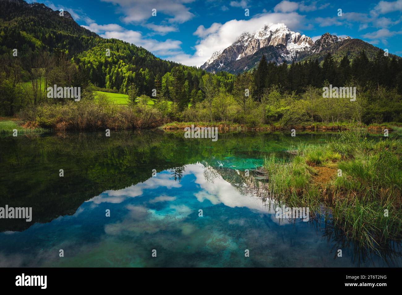 Uno dei più bei laghi di montagna turchesi della Slovenia. Il lago Zelenci si trova vicino a Kranjska Gora, Slovenia, Europa Foto Stock