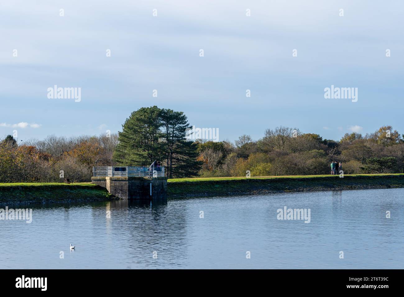 Lago artificiale di Llanishen e centro di sport acquatici, Cardiff, Galles del Sud Foto Stock