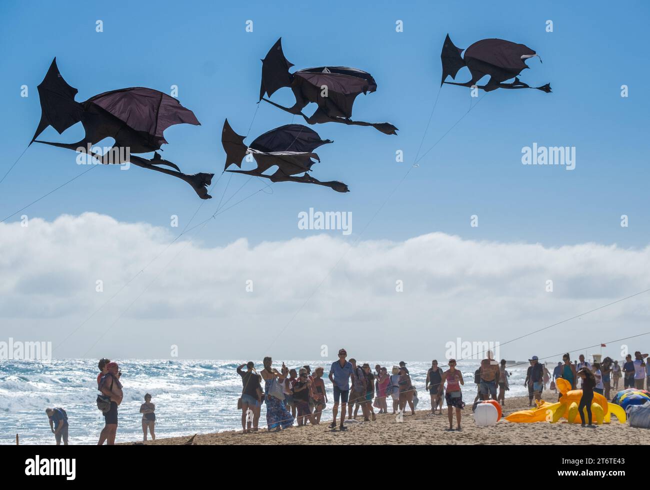 Fuerteventura, Isole Canarie, Spagna. 11 novembre 2023. Gli aquiloni di tutto il mondo scendono sulla spiaggia vicino a Corralejo a Fuerteventura per il festival internazionale degli aquiloni del 2023; ora al suo 36° anno. Crediti: Alan Dawson/Alamy Live News Foto Stock