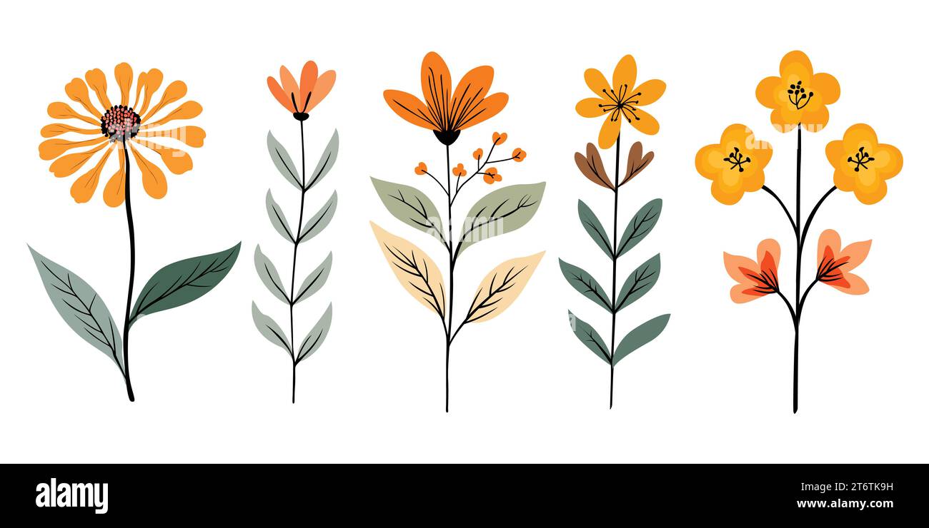 serie vector di silhouette floreali disegnate a mano Illustrazione Vettoriale