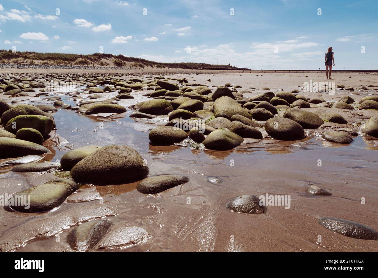 Una donna ama fare una passeggiata sulla spiaggia passando davanti ad alcune grandi rocce rotonde nella sabbia ad Abersoch, nel Galles occidentale, nel Regno Unito Foto Stock