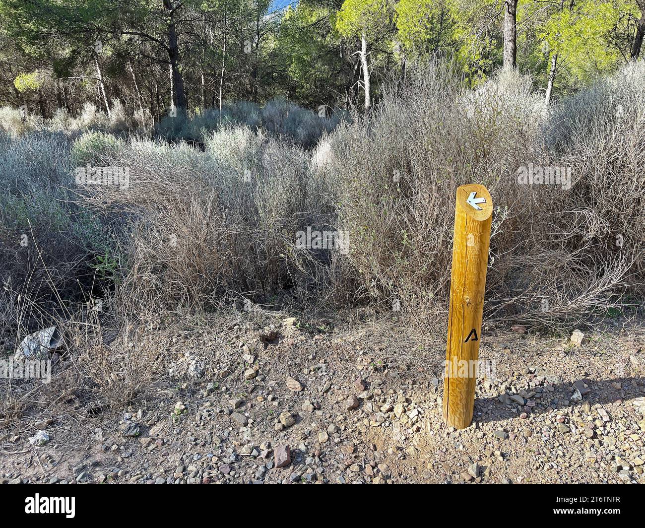 Indicazioni direzionali sul percorso escursionistico nel Parco naturale Montes de Málaga Foto Stock