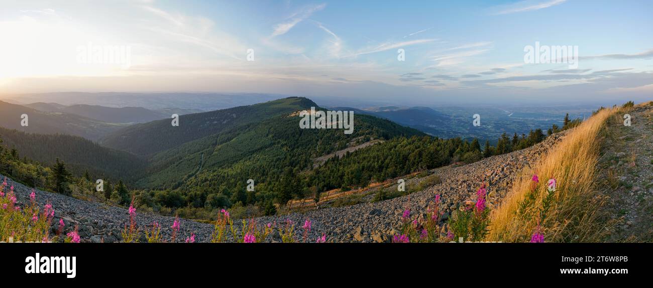 Panorama della Vallée du Rhône Foto Stock