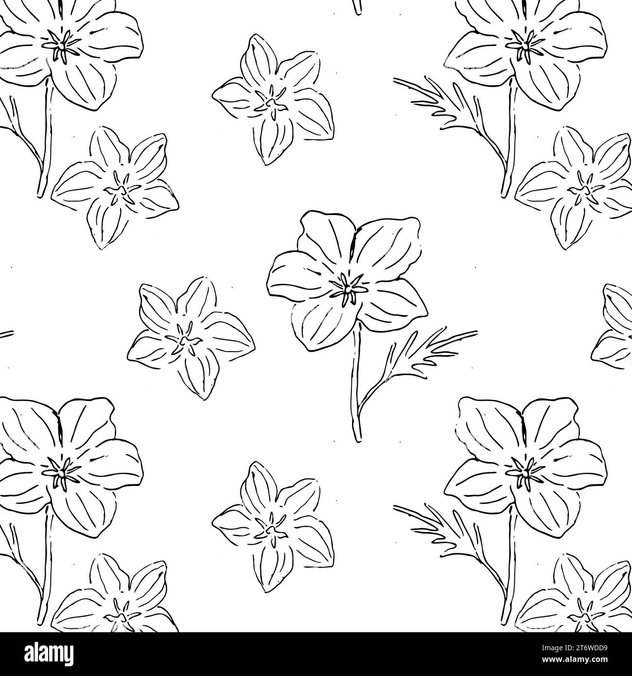 Motivo Monochome Fiore California Poppy senza cuciture Illustrazione Vettoriale