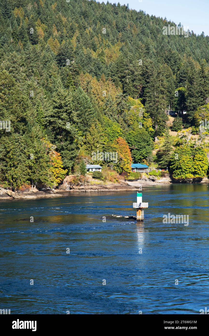 Gulf Islands, Vancouver, Canada Foto Stock