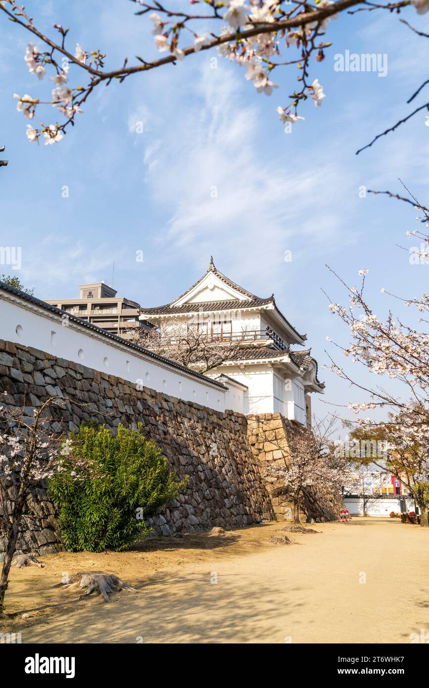 Castello giapponese, Fukuyama. Parete in pietra di Ishigaki con parete in gesso dobei e la restaurata torretta di osservazione della luna di Tsukimi yagura. Fiori di ciliegio, cielo blu Foto Stock