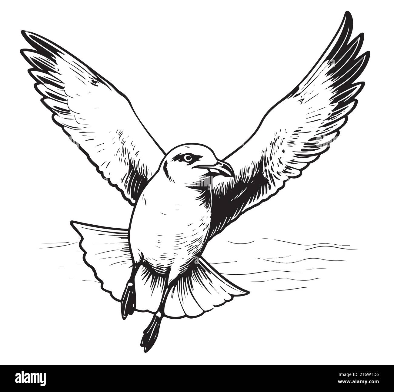 Gabbiano pronto a volare Vector sketch uccello marino selvatico Illustrazione Vettoriale