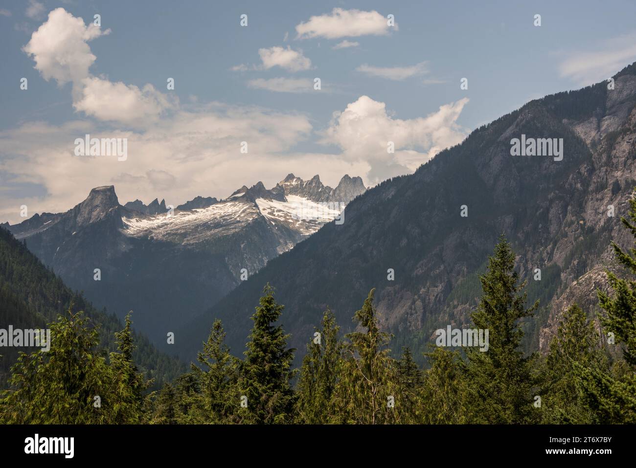La catena montuosa Pickett Range, vista dal sentiero naturalistico presso il centro visitatori, il parco nazionale delle cascate nord, newhalem, washington, usa Foto Stock