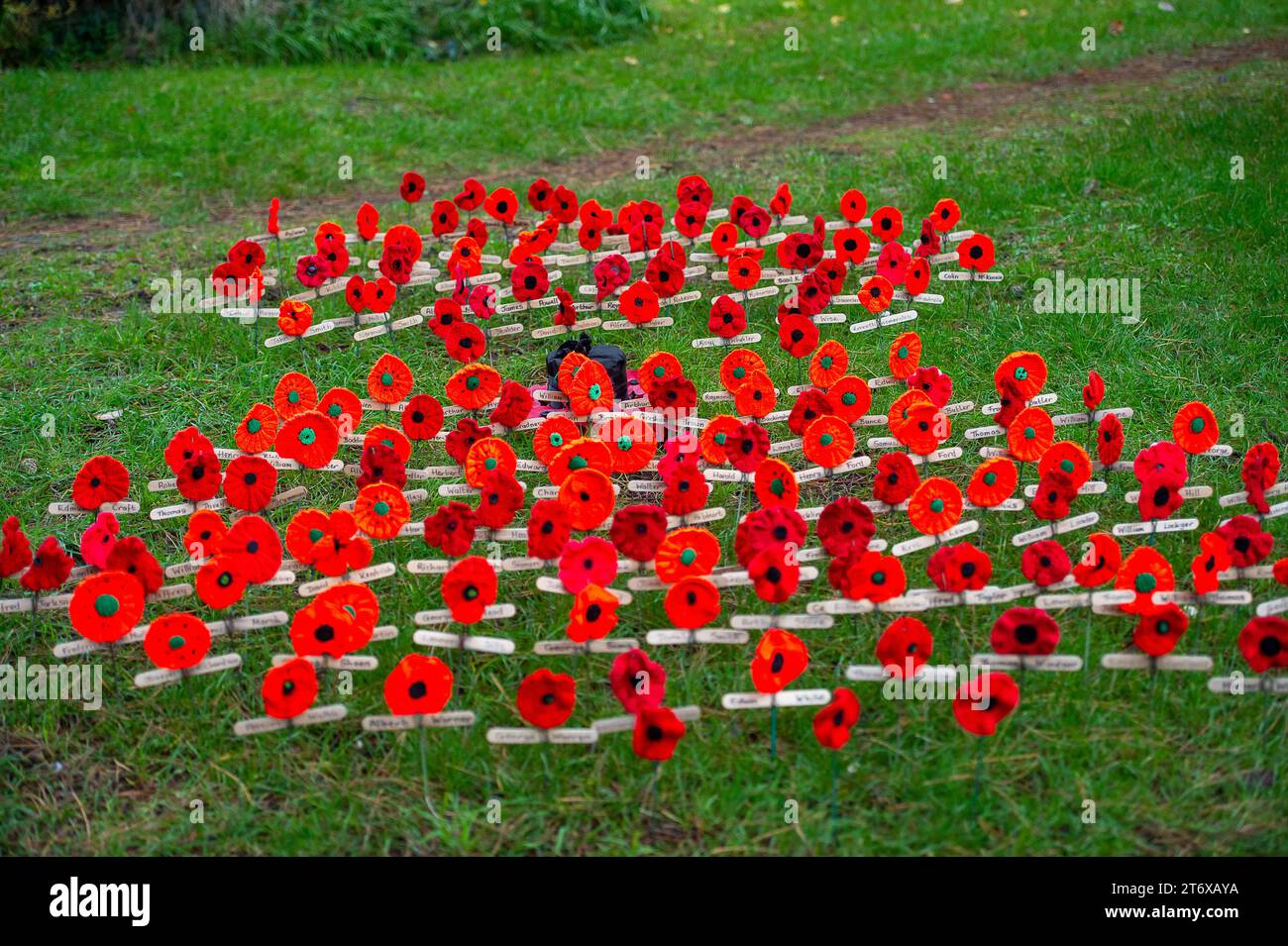 Chalfont St Peter, Regno Unito. 12 novembre 2023. Un mare di papaveri a maglia. Centinaia di persone hanno riempito le strade di Chalfont St Peter nel Buckinghamshire questo pomeriggio per l'annuale Remembrance Sunday Parade e la corona deposta al memoriale di guerra. Sarah Green deputato per Chesham e Amersham insieme ai membri della Royal British Legion, forze armate, Brownies, Scout, Guide ragazze, consiglieri e altre organizzazioni locali posero corone al War Memorial vicino alla chiesa parrocchiale. La Chesham All Girls Band guidò la parata attraverso la città. Credito: Maureen McLean/Alamy Live News Foto Stock