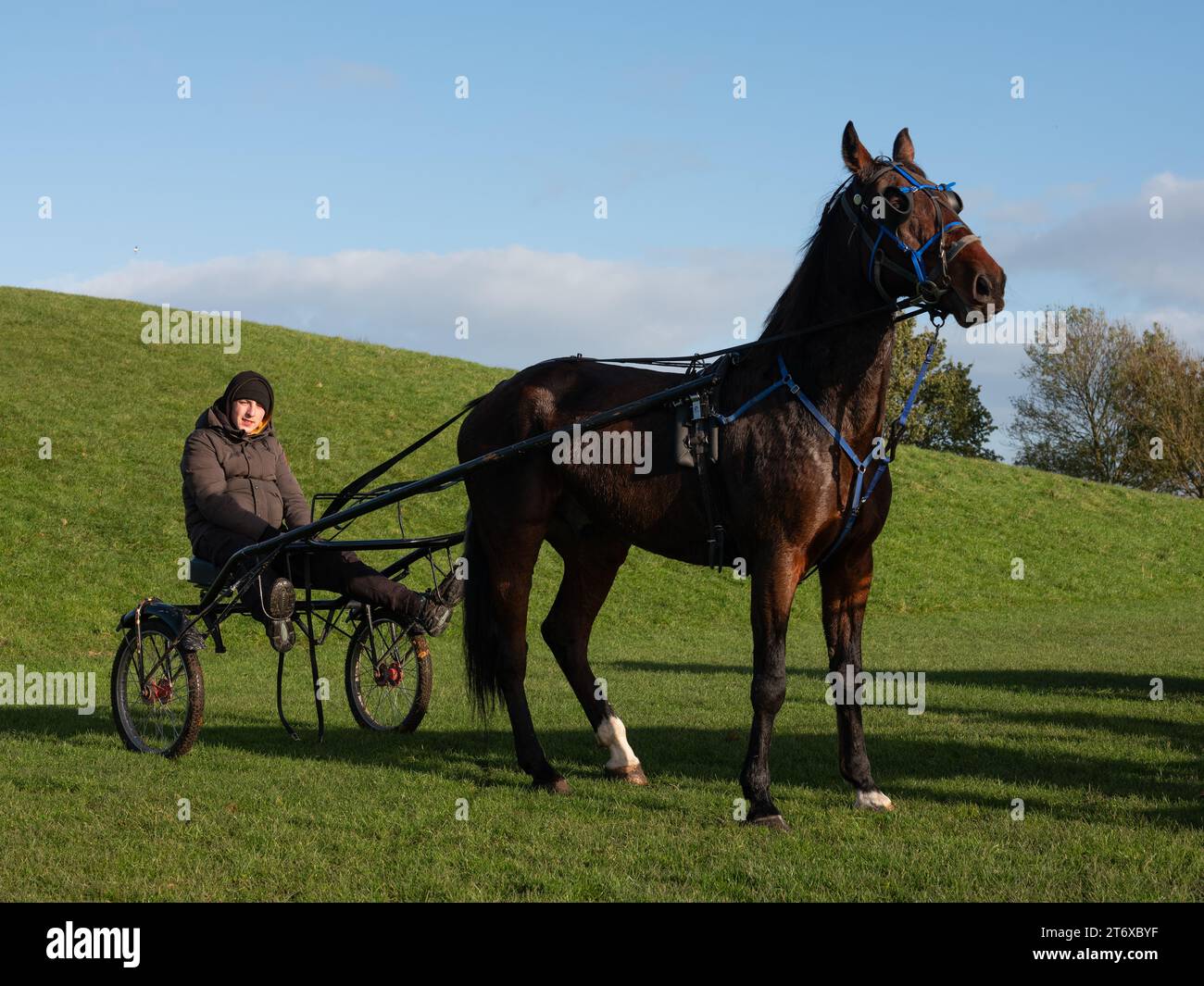 Un uomo che cavalca un sulky nel Phoenix Park, nella città di Dublino, in Irlanda. Foto Stock