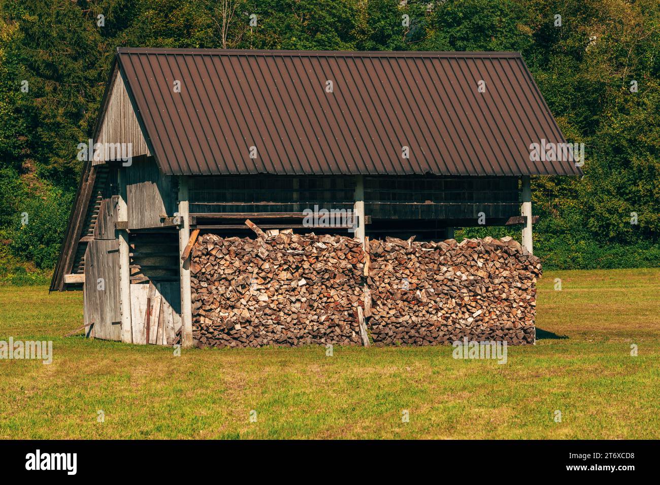 Legna da ardere tritata impilata in capannone per la stagione invernale, attenzione selettiva Foto Stock