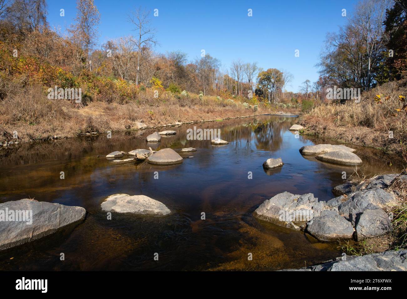 L'acqua in un torrente si muove lentamente tra i massi in una scena autunnale con foglie che cambiano. Foto Stock