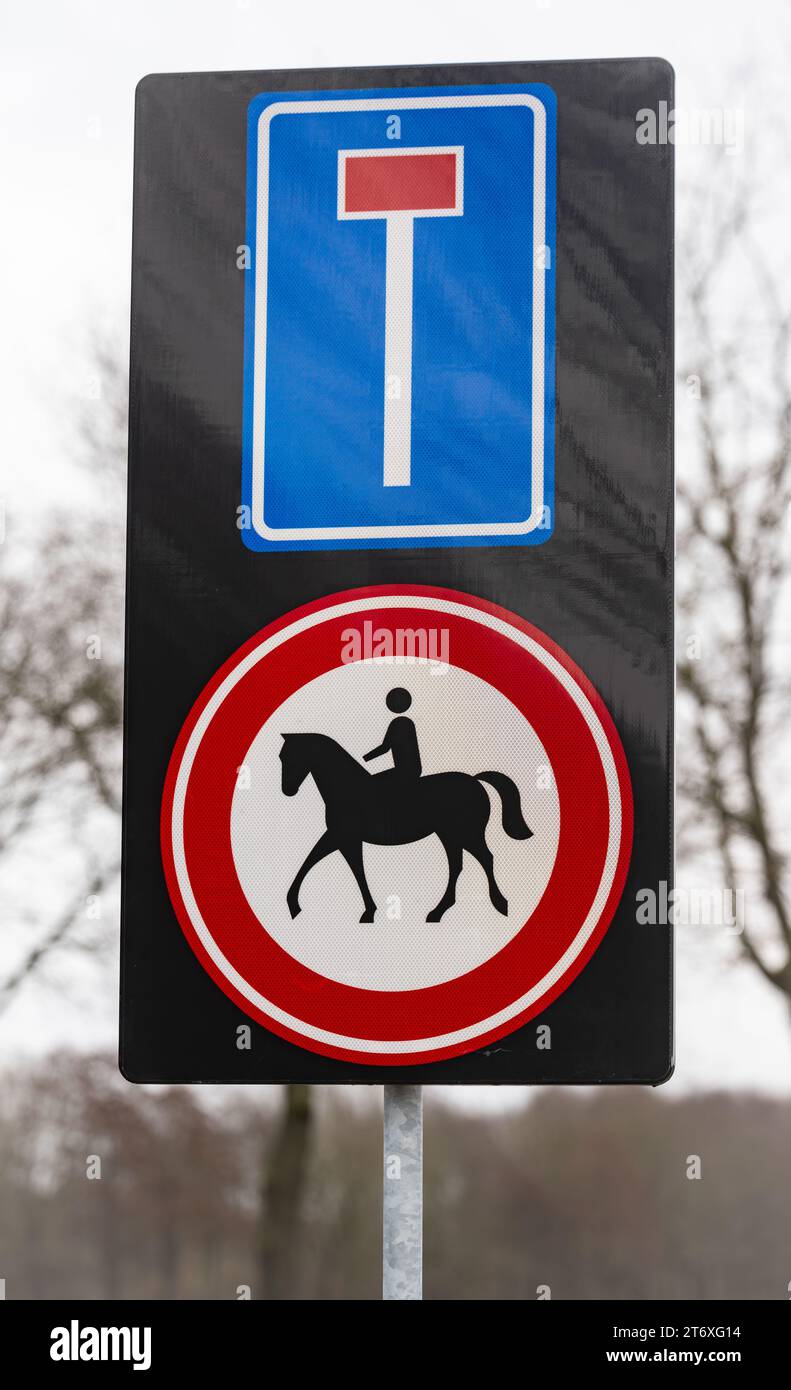 Segnaletica stradale olandese con doppia funzione. Il simbolo superiore indica che si sta entrando in una strada senza uscita. Il segnale inferiore indica che è vietato per h. Foto Stock