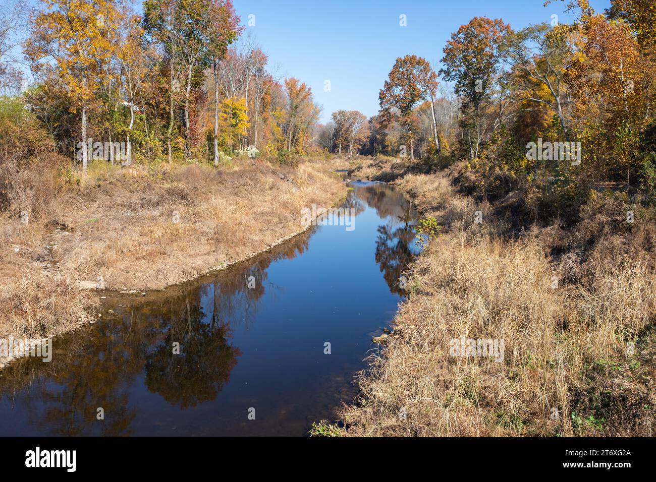 L'acqua in un torrente si muove lentamente in una scena autunnale con riflessi di alberi. Foto Stock