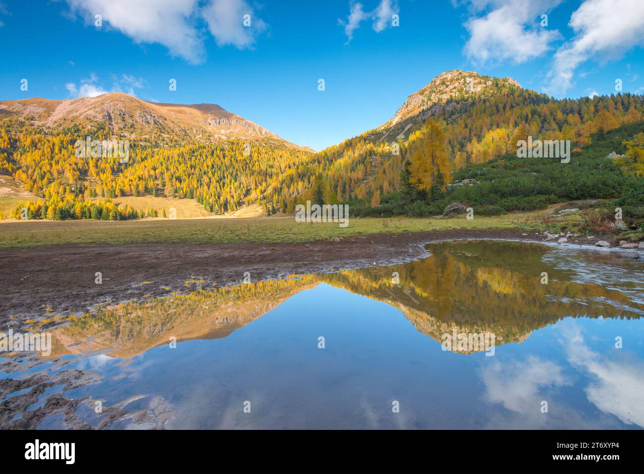 Riflessi montani perfetti su un piccolo laghetto alpino nelle montagne del Laagorai in Italia. Vegetazione autunnale con fogliame autunnale sulle larici Foto Stock