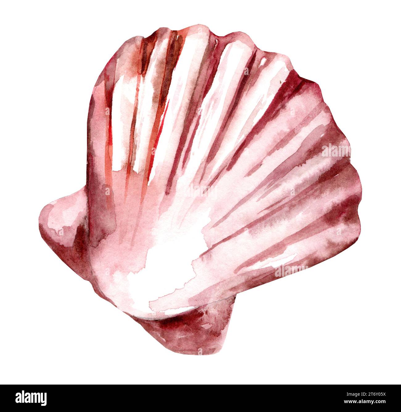 Acquerello Seashell. Immagine disegnata a mano di Scallop su sfondo bianco isolato. Disegno colorato di conchiglie marine. Fauna marina esotica. Underwa selvaggio Foto Stock