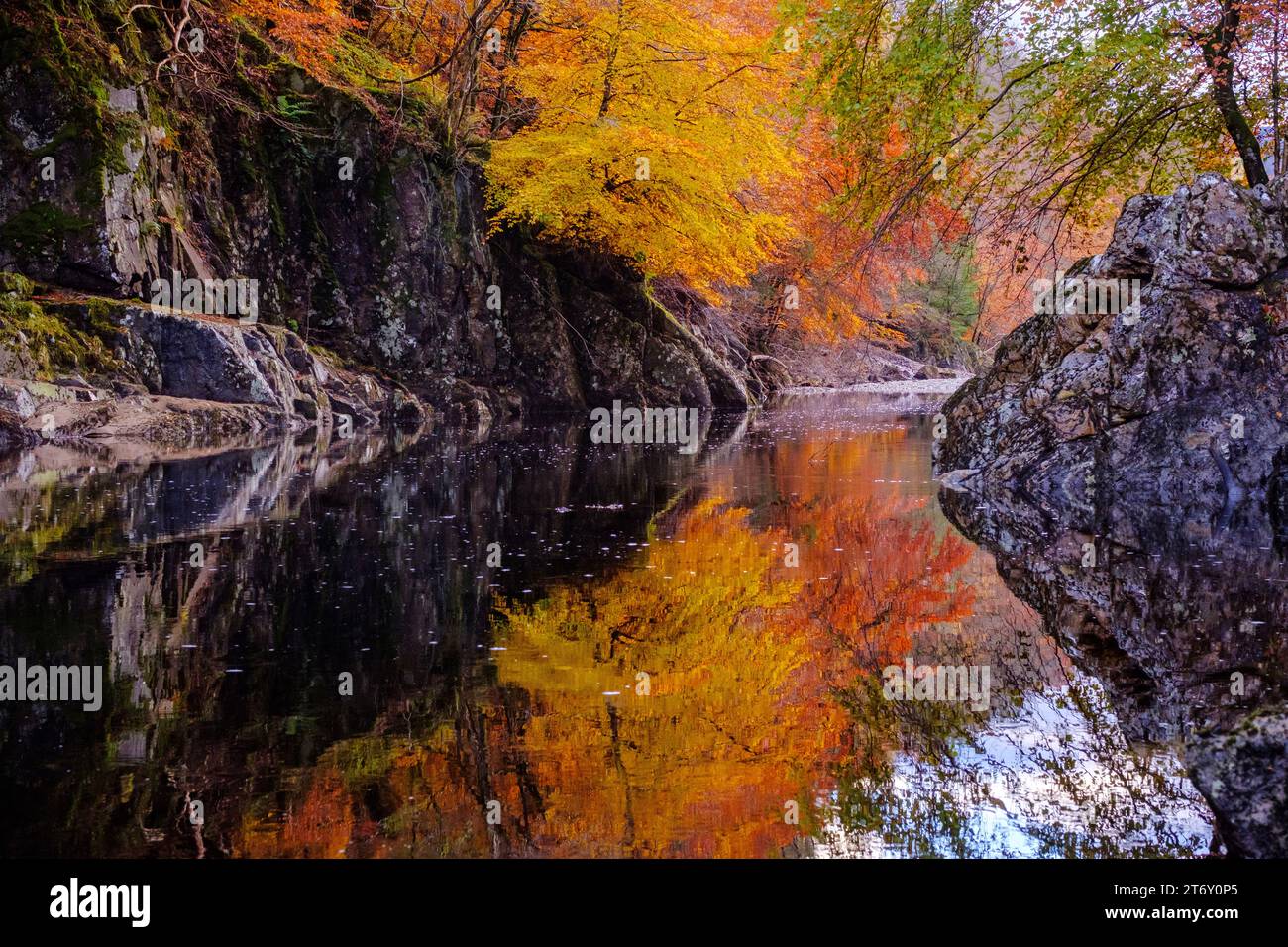 Autunno a Killinkrankie, in Scozia, con il fiume Tummel e colori ardenti Foto Stock