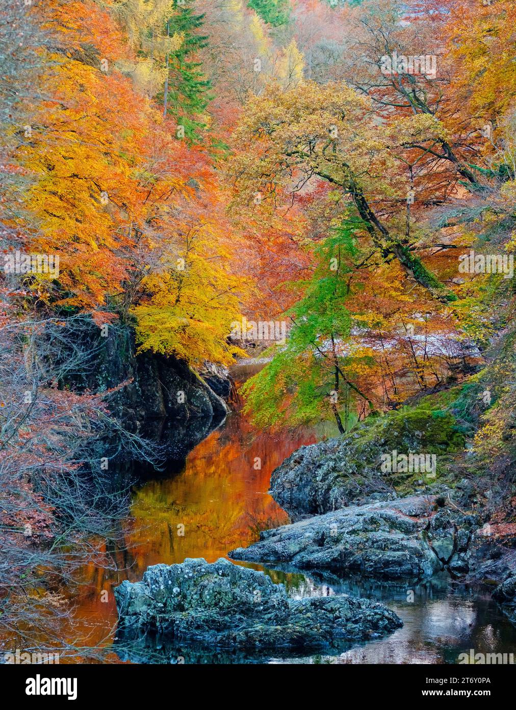 Autunno a Killinkrankie, in Scozia, con il fiume Tummel e colori ardenti Foto Stock