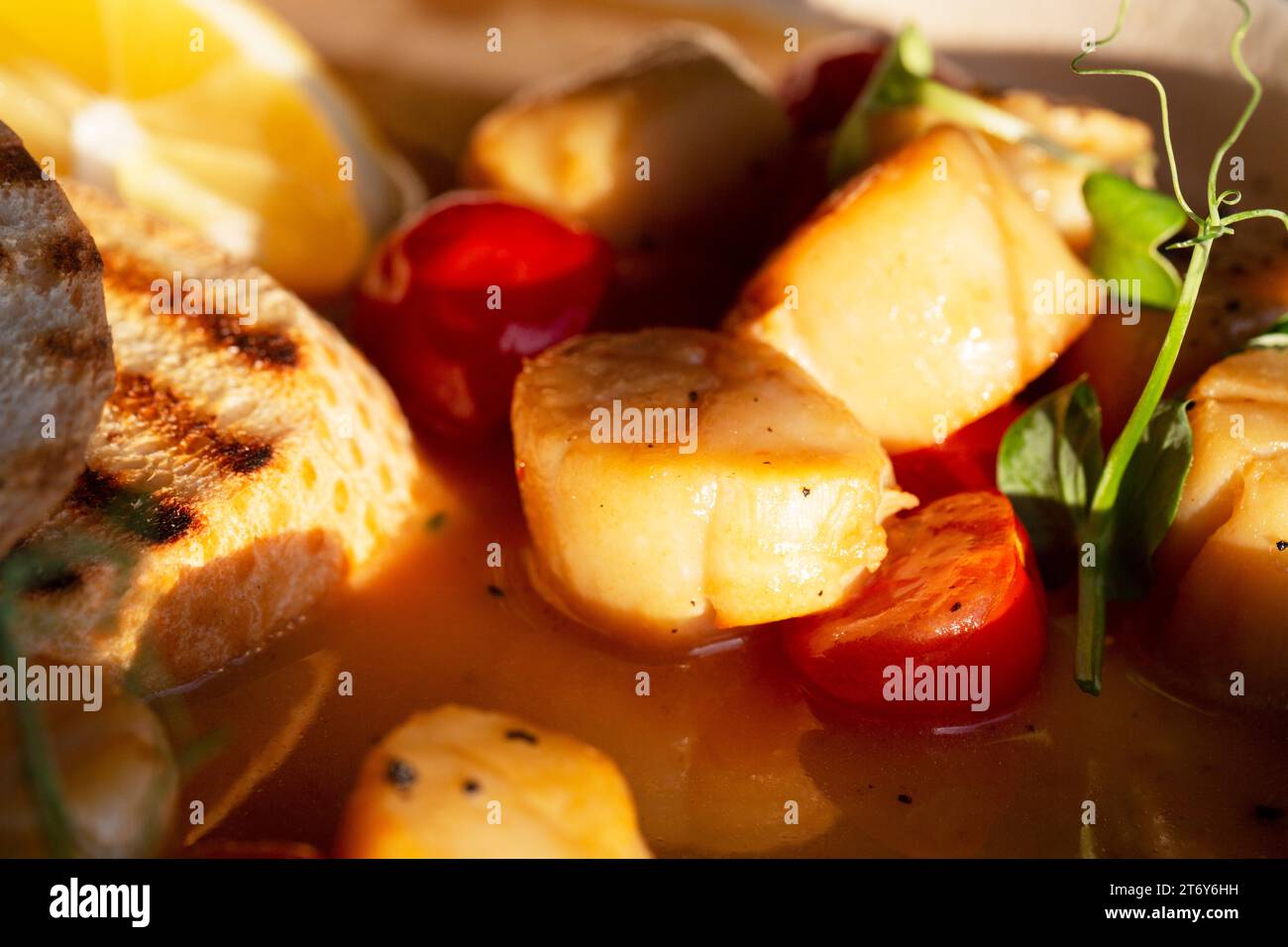 Capesante portoghesi fritte in salsa al vino bianco con limone, pomodori e pane tostato. Specialità di pesce, dieta mediterranea. Foto Stock