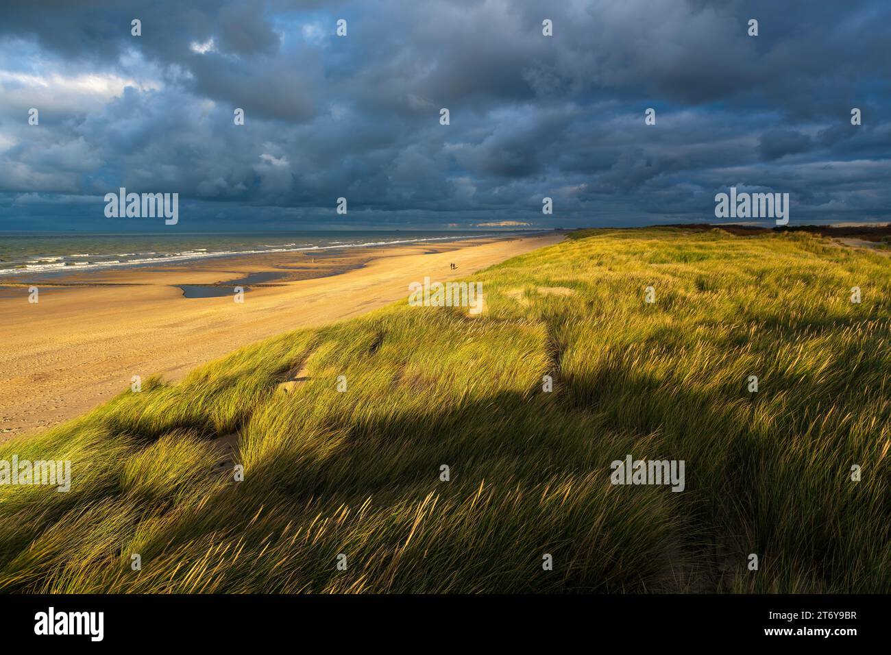 Dune di sabbia con spiaggia e Mare del Nord al tramonto con spettacolari nuvole di tempeste, Ostenda, Fiandre, Belgio. Foto Stock