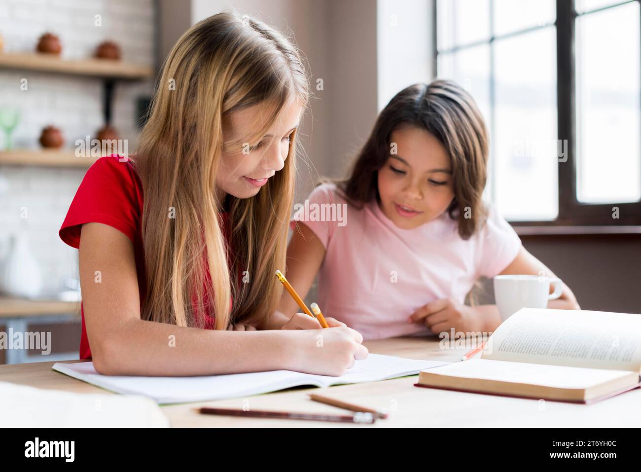 Intelligenti ragazze multietniche che fanno i compiti insieme Foto Stock
