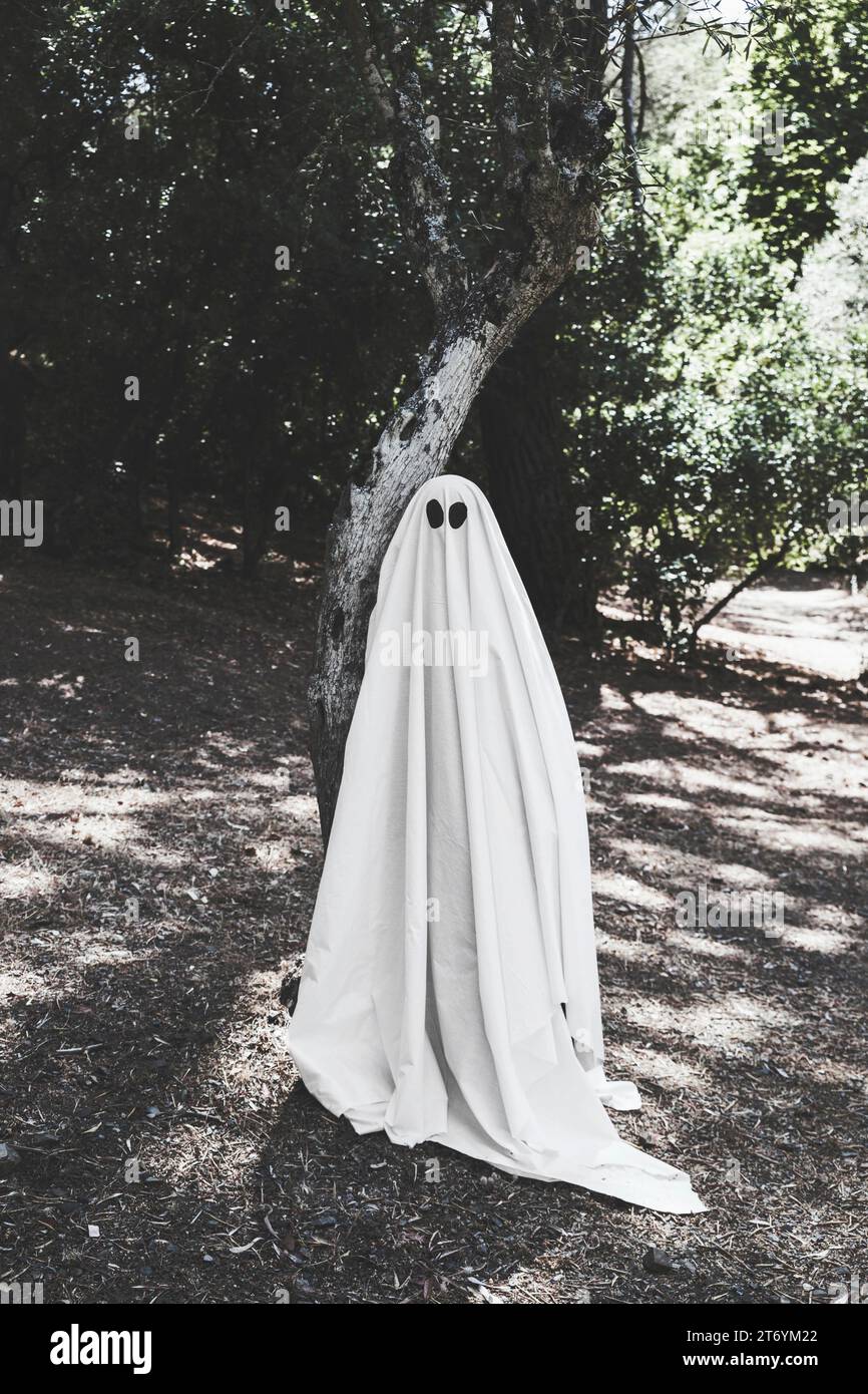 Costume fantasma umano vicino alla foresta di alberi Foto Stock