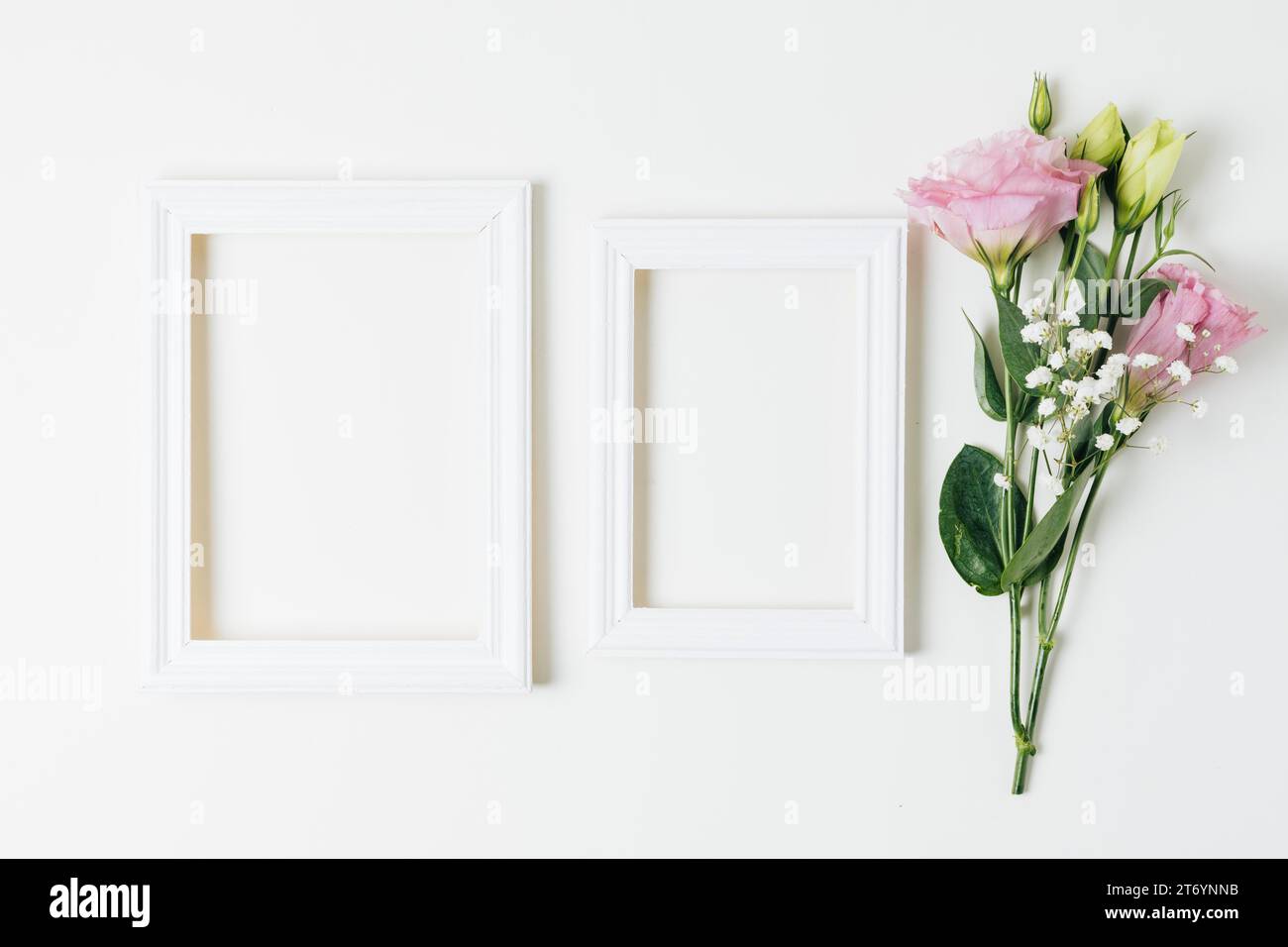 Due cornici vuote in legno vicino a eustoma rosa fiori del fiato del bambino sfondo bianco Foto Stock