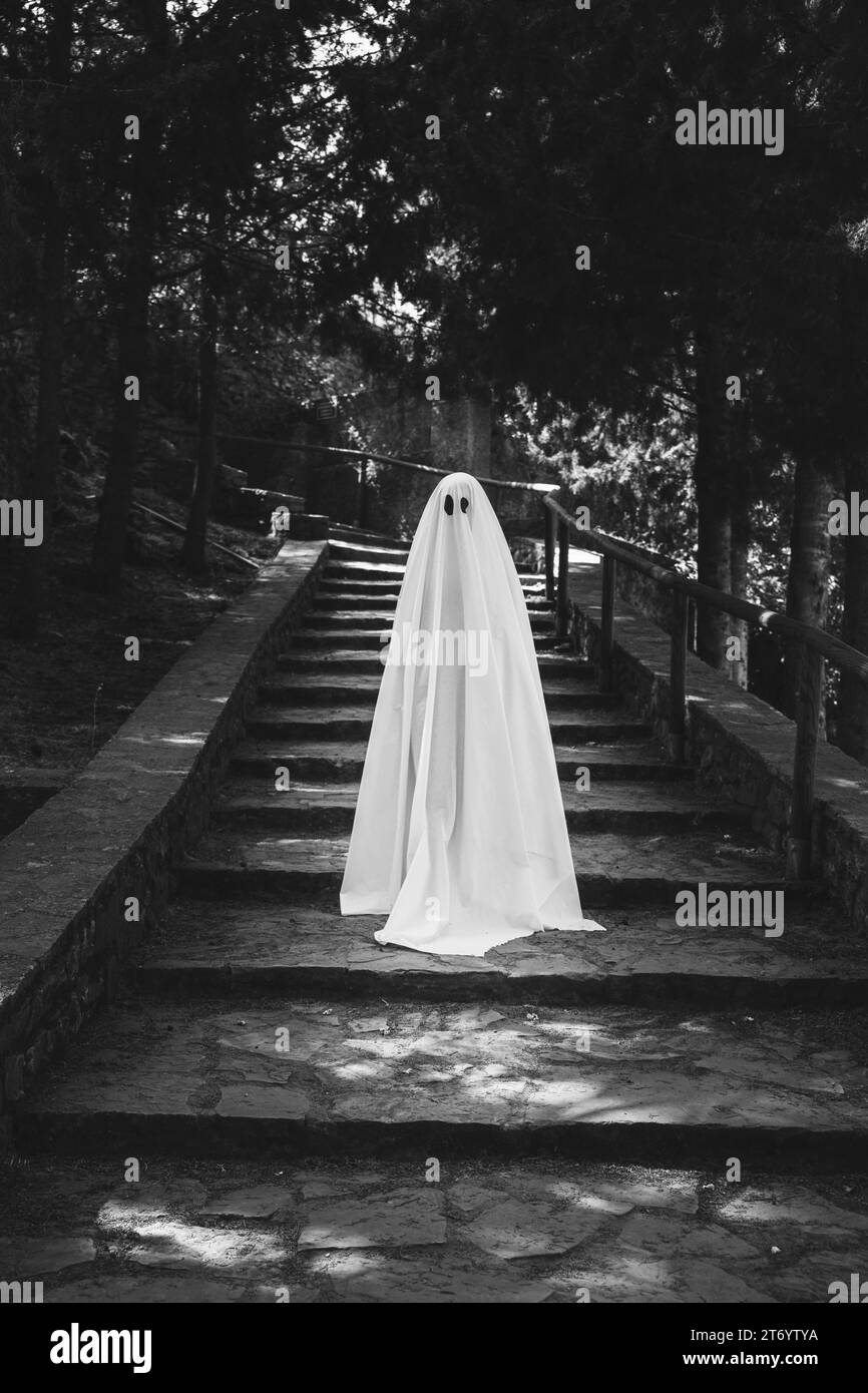 Persona costume fantasma in piedi scale foresta Foto Stock