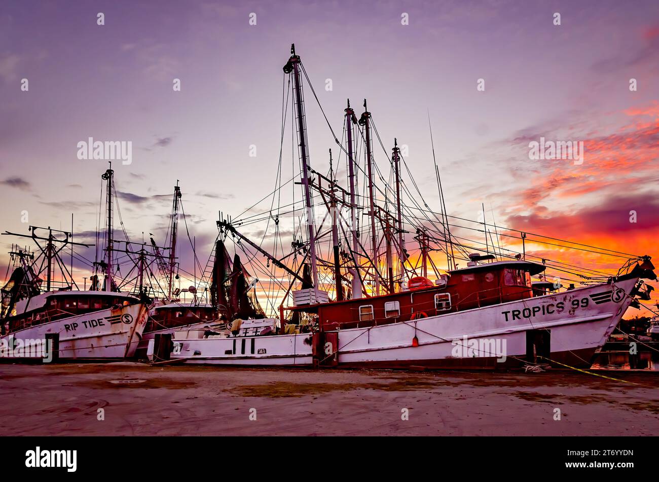 Le barche per i gamberi sono raffigurate al tramonto, 8 novembre 2023, a Bayou la Batre, Alabama. La città è conosciuta come la capitale del pesce dell'Alabama. Foto Stock