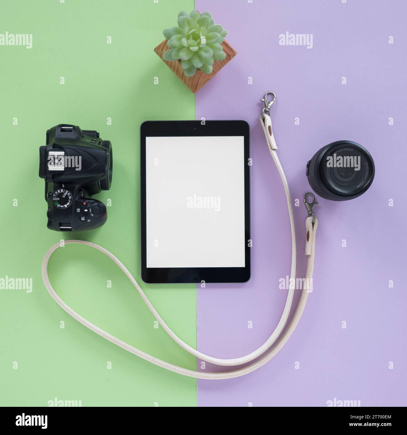 Tablet digitale con fotocamera a schermo vuoto obiettivo cintura pianta succulenta doppio sfondo Foto Stock