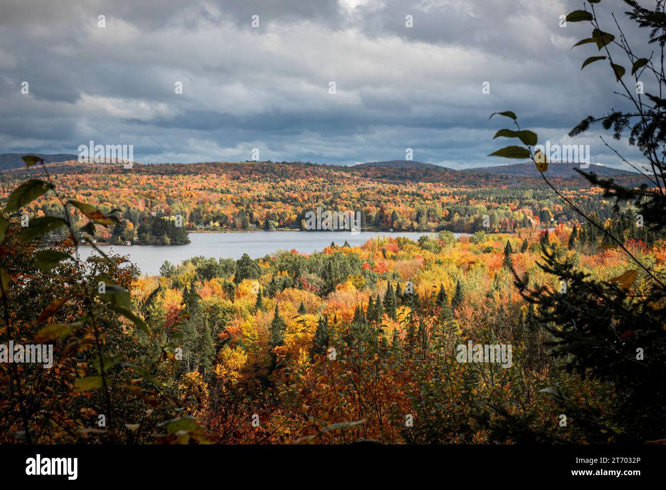 Il sole splende sulla foresta canadese nella palude nord del Quebec Foto Stock