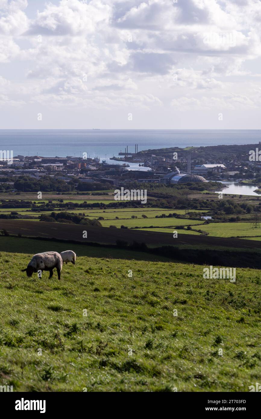 Vista di Newhaven e del fiume Ouse in una giornata nuvolosa autunnale, East Sussex, Inghilterra Foto Stock