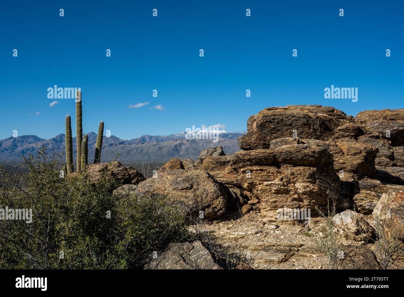 Speronamenti rocciosi che si affacciano sulle montagne nel Parco Nazionale di Saguaro Foto Stock