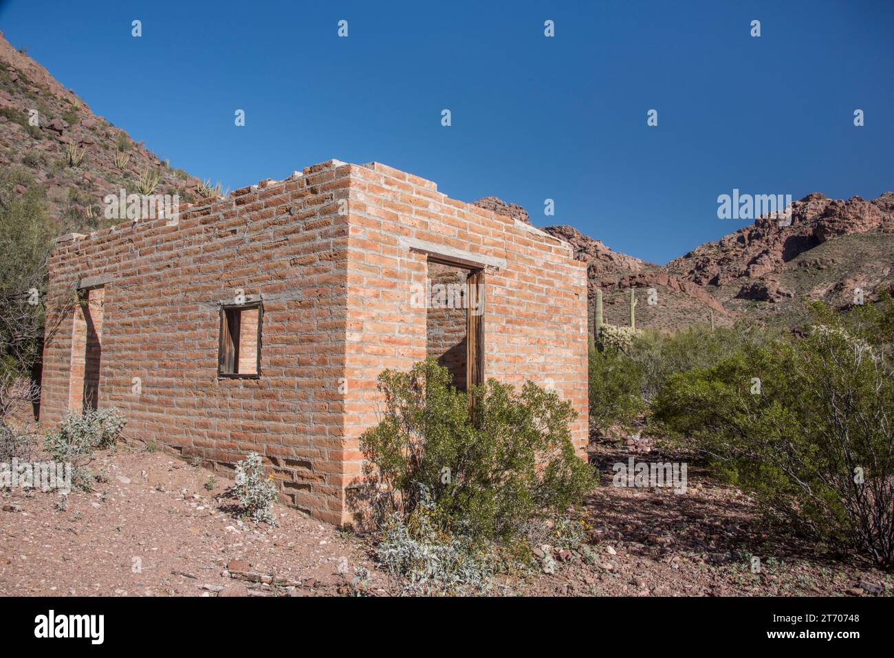 Rovine storiche di Ranchero, adobe House, Miller Ranch, Alamo Canyon, deserto di Sonora, monumento nazionale Organ Pipe Cactus, Ajo, Arizona, USA Foto Stock