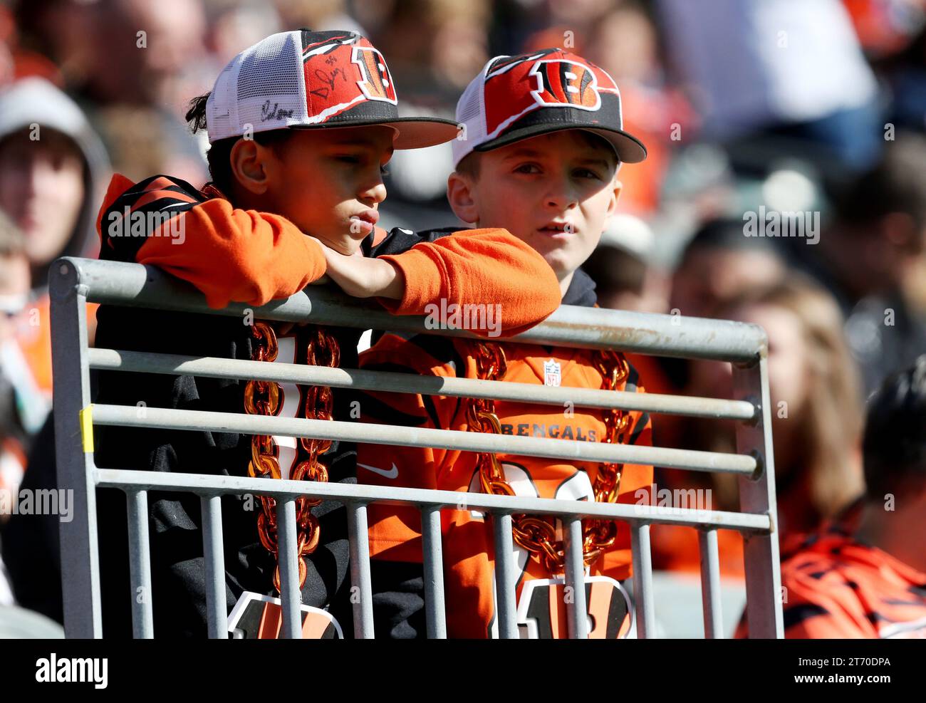 Cincinnati, Stati Uniti. 12 novembre 2023. I tifosi di football tifosi tifosi per le squadre durante la partita tra gli Houston Texans e i Cincinnati Bengals al Paycor Stadium di domenica 12 novembre 2023 a Cincinnati. Ohio. Foto di John Sommers II/UPI Credit: UPI/Alamy Live News Foto Stock