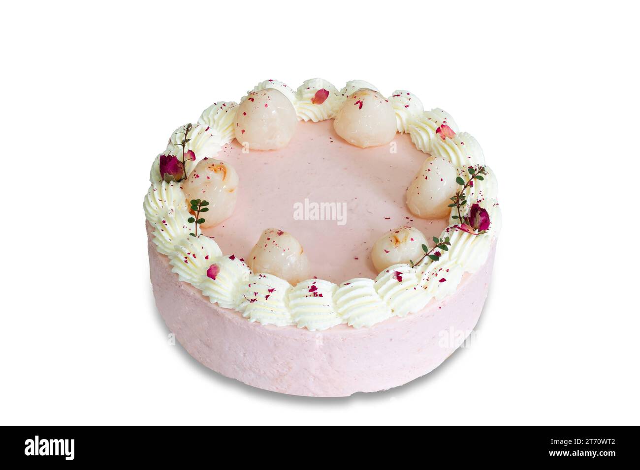 Torta Lychee fatta in casa su sfondo bianco isolato con percorsi di ritaglio. Glassa per torta di spugna semplice con salsa pudding giovane. Concetto di panetteria per Birthd Foto Stock