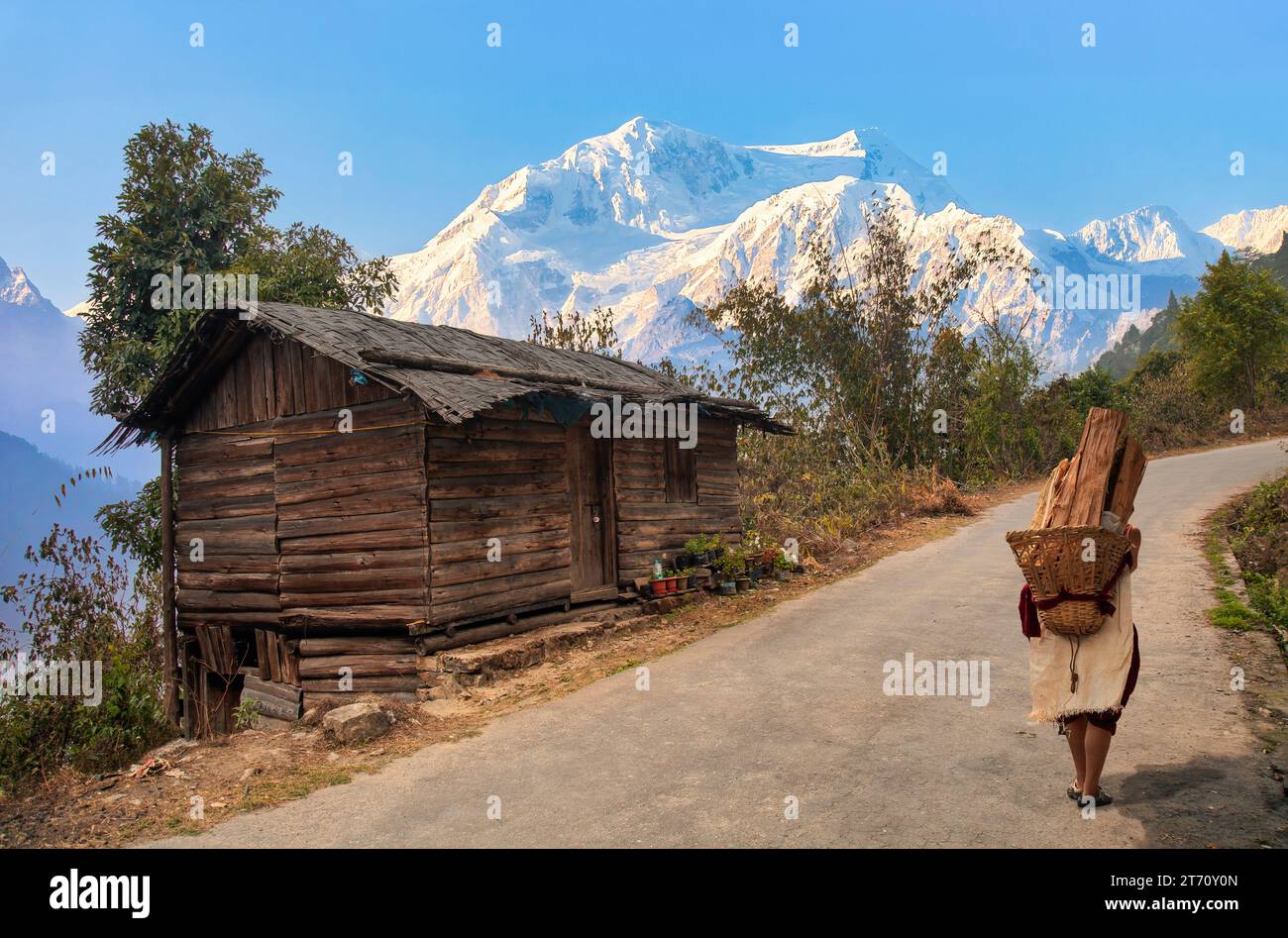Vecchio uomo del villaggio che porta legna da ardere lungo una strada di montagna con vista della catena montuosa dell'Himalaya sullo sfondo a Tinchuley Darjeeling, India. Foto Stock