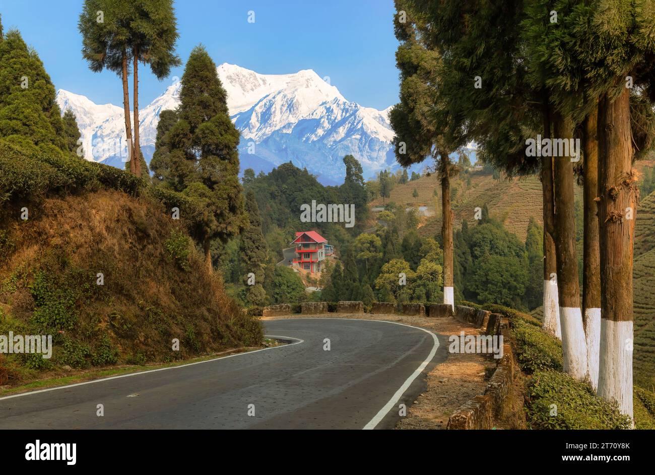Strada panoramica di montagna con vista della maestosa catena montuosa innevata Kanchenjunga Himalaya a Tinchuley, Darjeeling, India Foto Stock