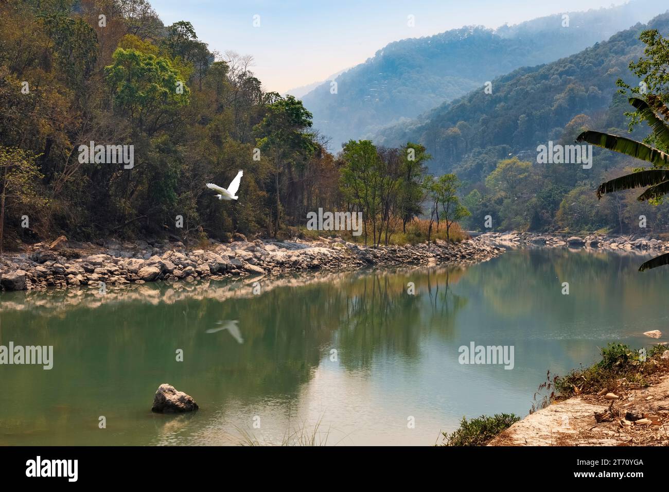 Valle del fiume Teesta con paesaggio montano dell'Himalaya nel distretto di Darjeeling nel Bengala Occidentale, India Foto Stock