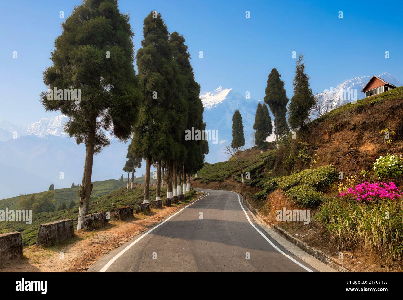 Strada panoramica di montagna con vista della maestosa catena montuosa innevata Kanchenjunga Himalaya a Tinchuley, Darjeeling, India Foto Stock