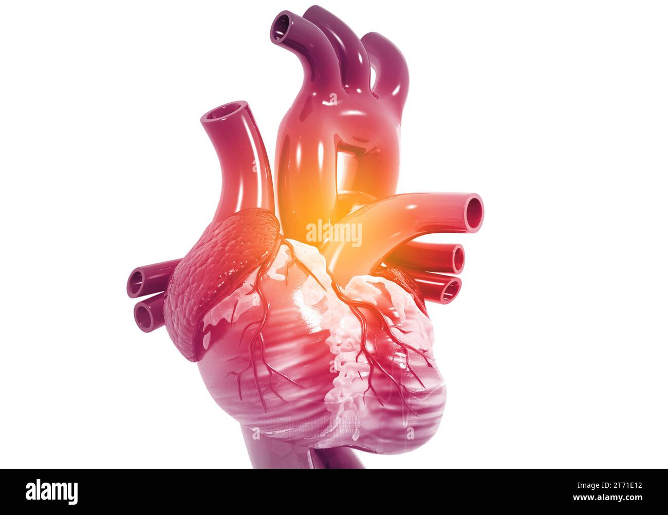 Cuore umano anatomia. 3D render Foto Stock