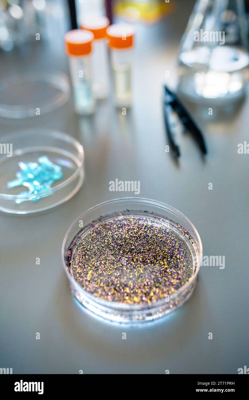 Primo piano della piastra di Petri con campione colorato di glitter miscelato nel liquido di analisi su un tavolo nel laboratorio di ricerca ambientale. Concetto di indagine su d Foto Stock