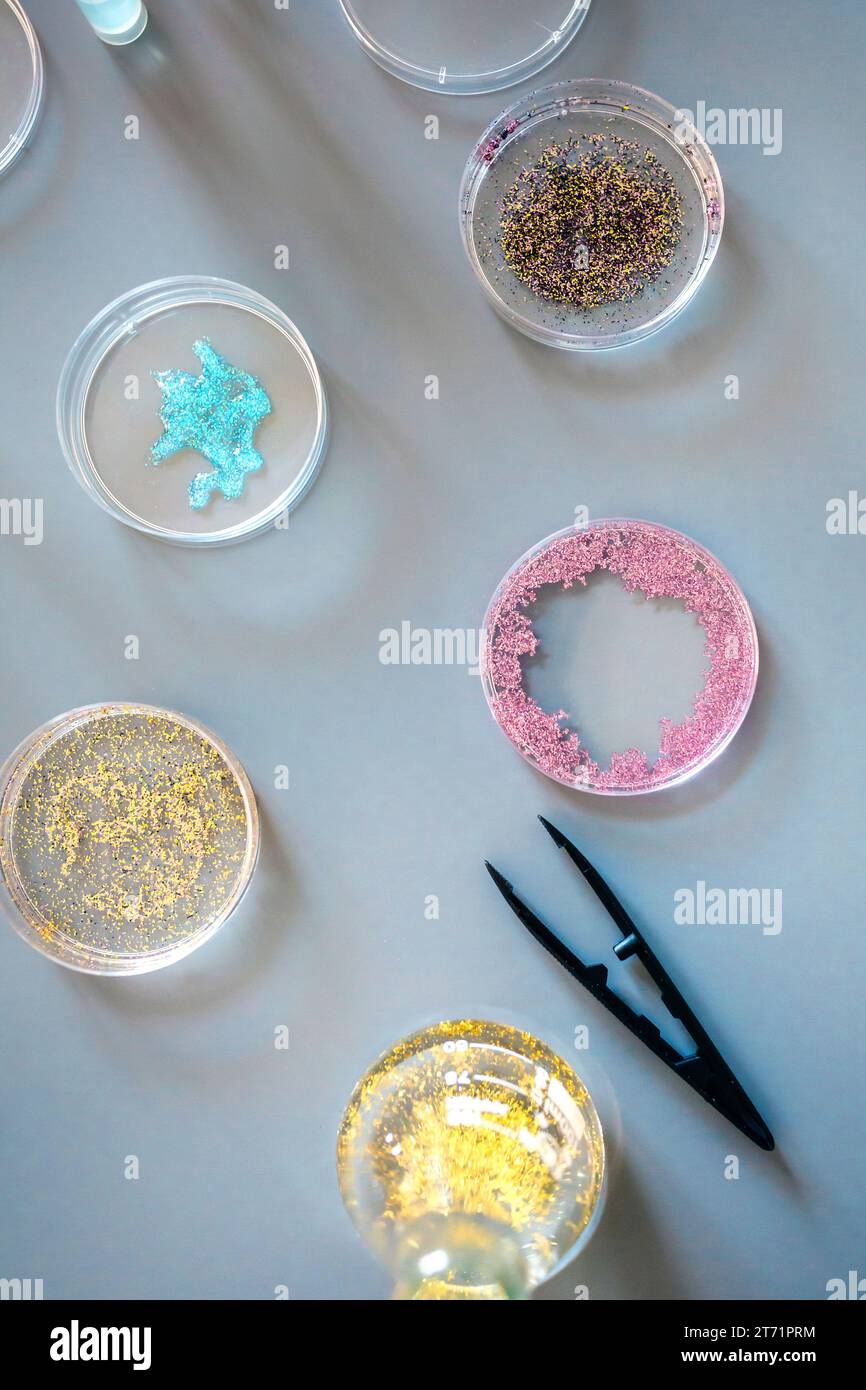 Vista dall'alto di diversi campioni glitter in capsule di Petri sullo sfondo di un tavolo da laboratorio. Studio del concetto di composizione microplastica. Plastica piccola pericolosa Foto Stock