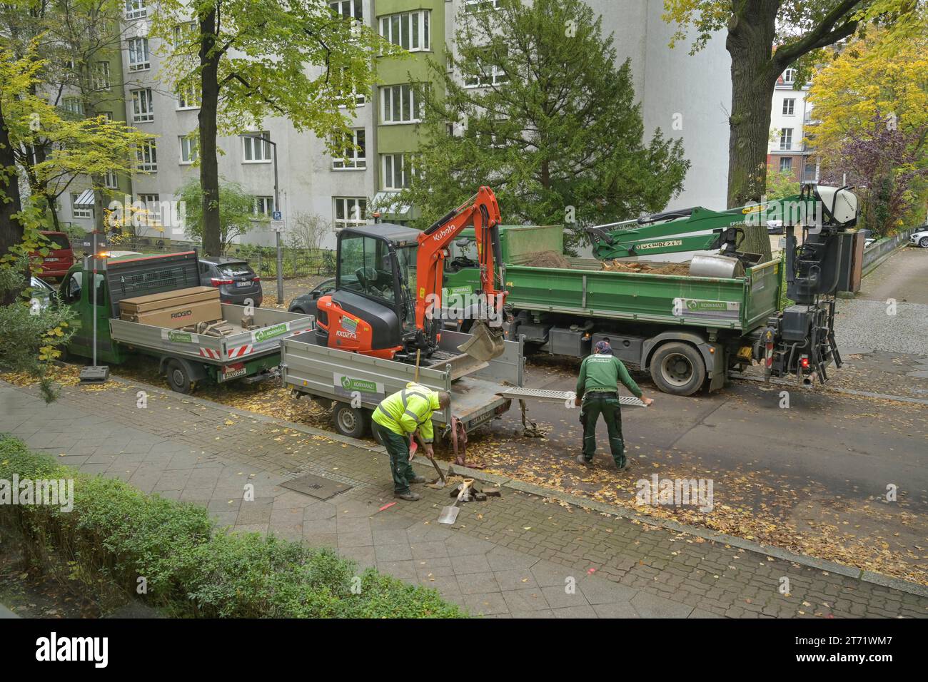 Baumpflanzarbeiten, Ausheben von Erde, Sarrazinstraße, Friedenau, Berlino, Deutschland Foto Stock