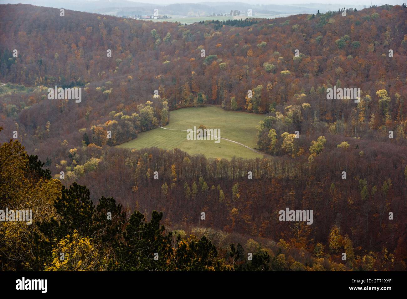 Colori forti e belli dell'autunno nei boschi di Baden Wurrtemberg in Germania. Foto Stock