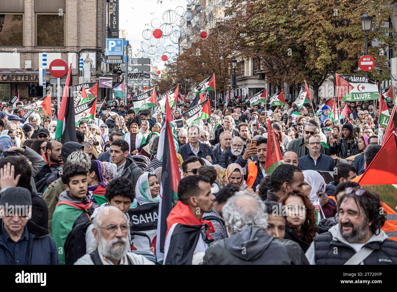 Madrid, Spagna. 11 novembre 2023. La folla di manifestanti tiene bandiere durante la manifestazione. Una massiccia manifestazione guidata dal Coordinatore di Stato delle associazioni in solidarietà con il Sahara (CEAS-Sahara) visita Madrid per chiedere l'autodeterminazione del Sahara. Credito: SOPA Images Limited/Alamy Live News Foto Stock