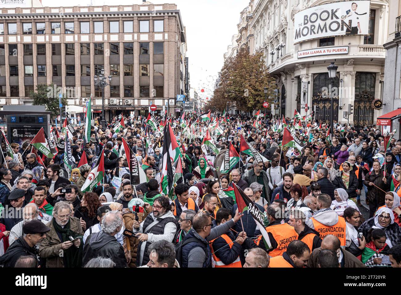 Madrid, Spagna. 11 novembre 2023. La folla di manifestanti tiene bandiere durante la manifestazione. Una massiccia manifestazione guidata dal Coordinatore di Stato delle associazioni in solidarietà con il Sahara (CEAS-Sahara) visita Madrid per chiedere l'autodeterminazione del Sahara. Credito: SOPA Images Limited/Alamy Live News Foto Stock