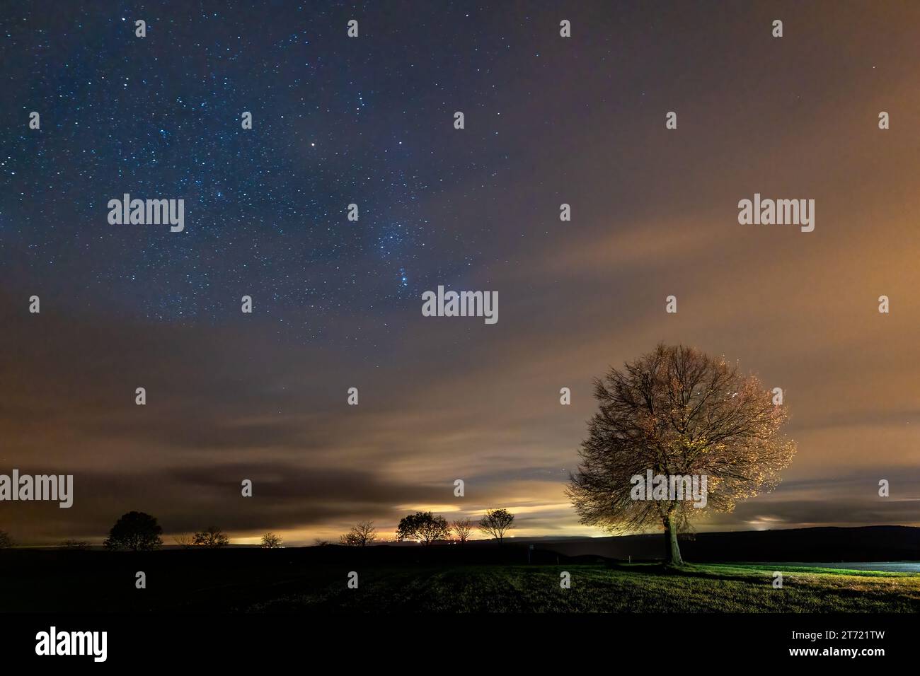 Il cielo durante la notte Foto Stock