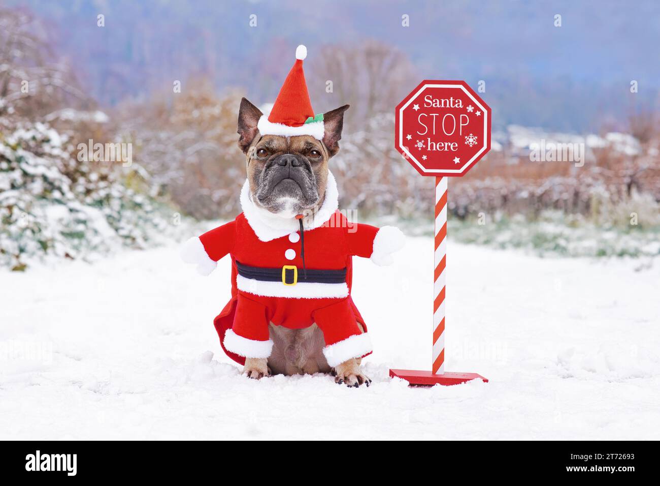 Orecchini A Forma Di Bulldog Francese Con Cappello Di Babbo Natale – Leggeri In Acrilico, Pendenti, Per Amanti Dei Cani, Regalo Natale