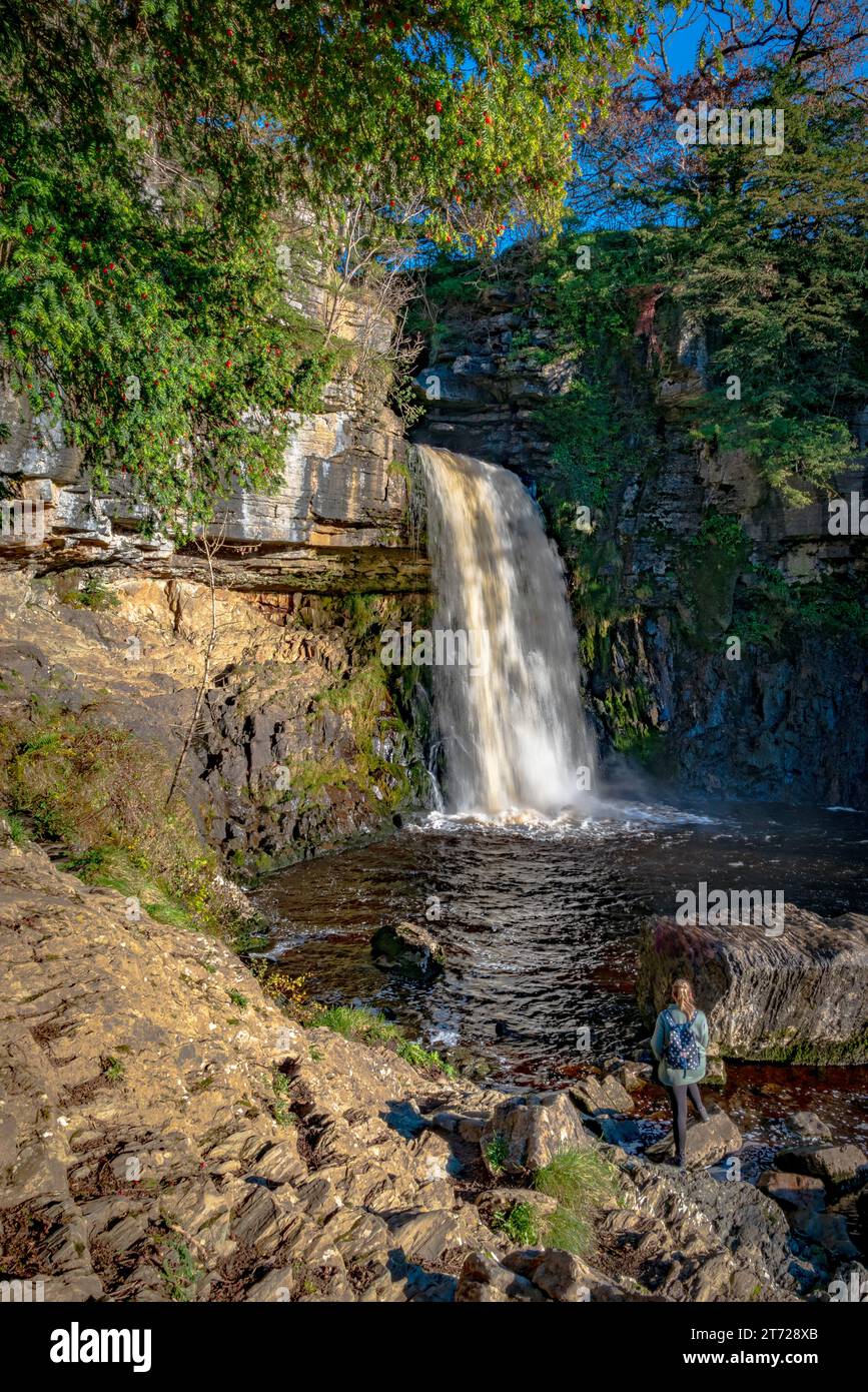 Thronton Force sui sentieri delle cascate Ingleton sul fiume Twiss a Ingleton nel North Yorkshire. Foto Stock